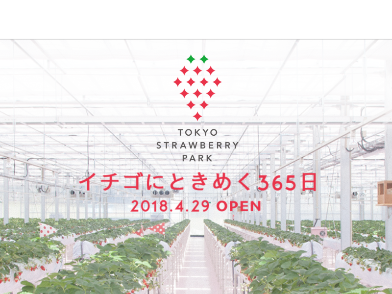 TOKYO STRAWBERRY PARK